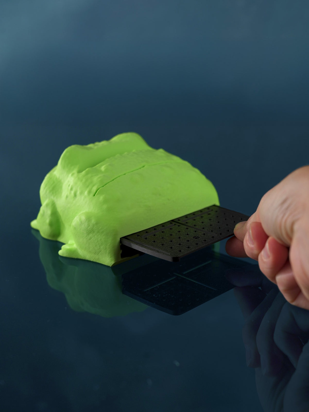 Porte-Notes Crapaud organiseur de bureau imprimé en 3D – Jagou Design