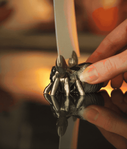 Mimie l'araignée sauteuse