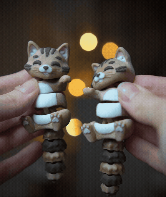 Porte-clés magnétique Flexi, le Chat