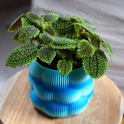 Pots de fleurs Bubble