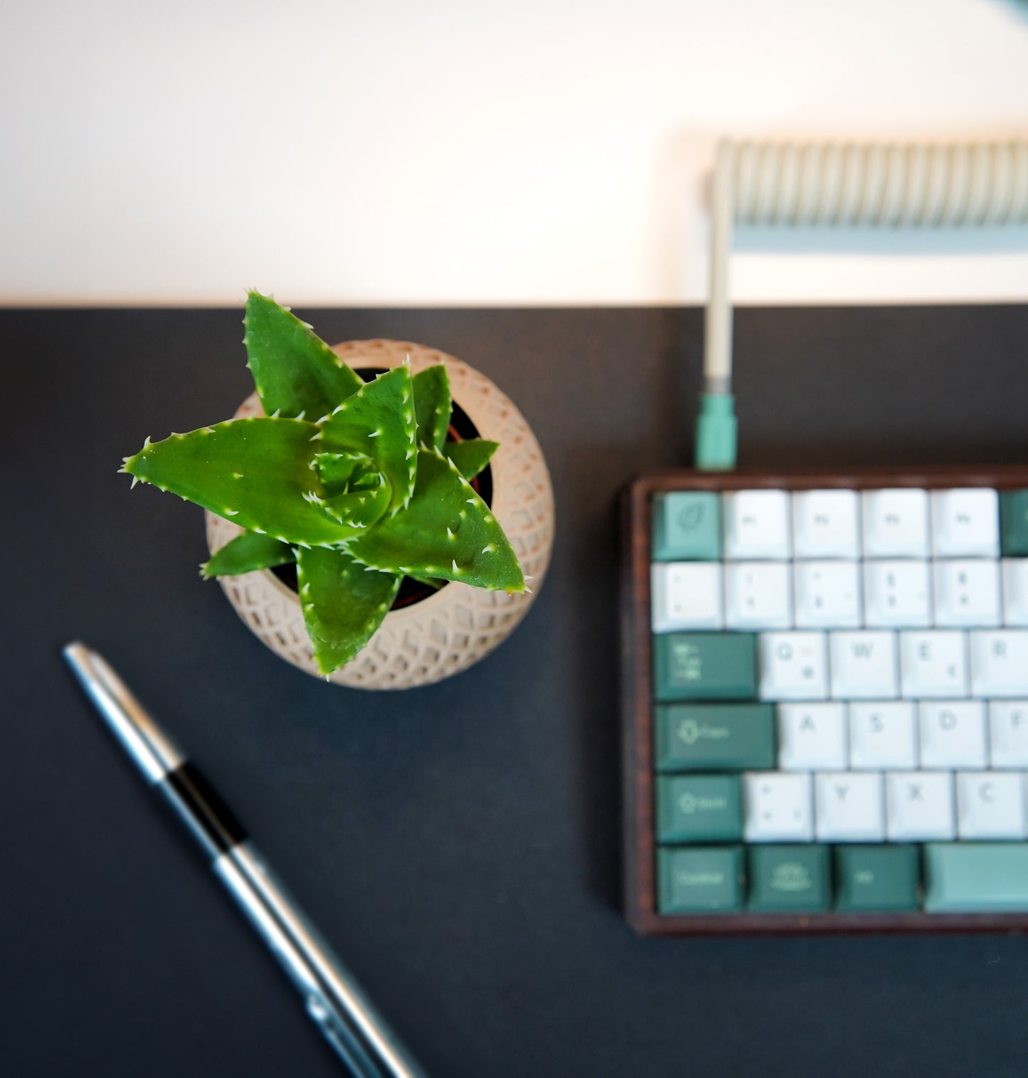 Pots de fleurs Ananas