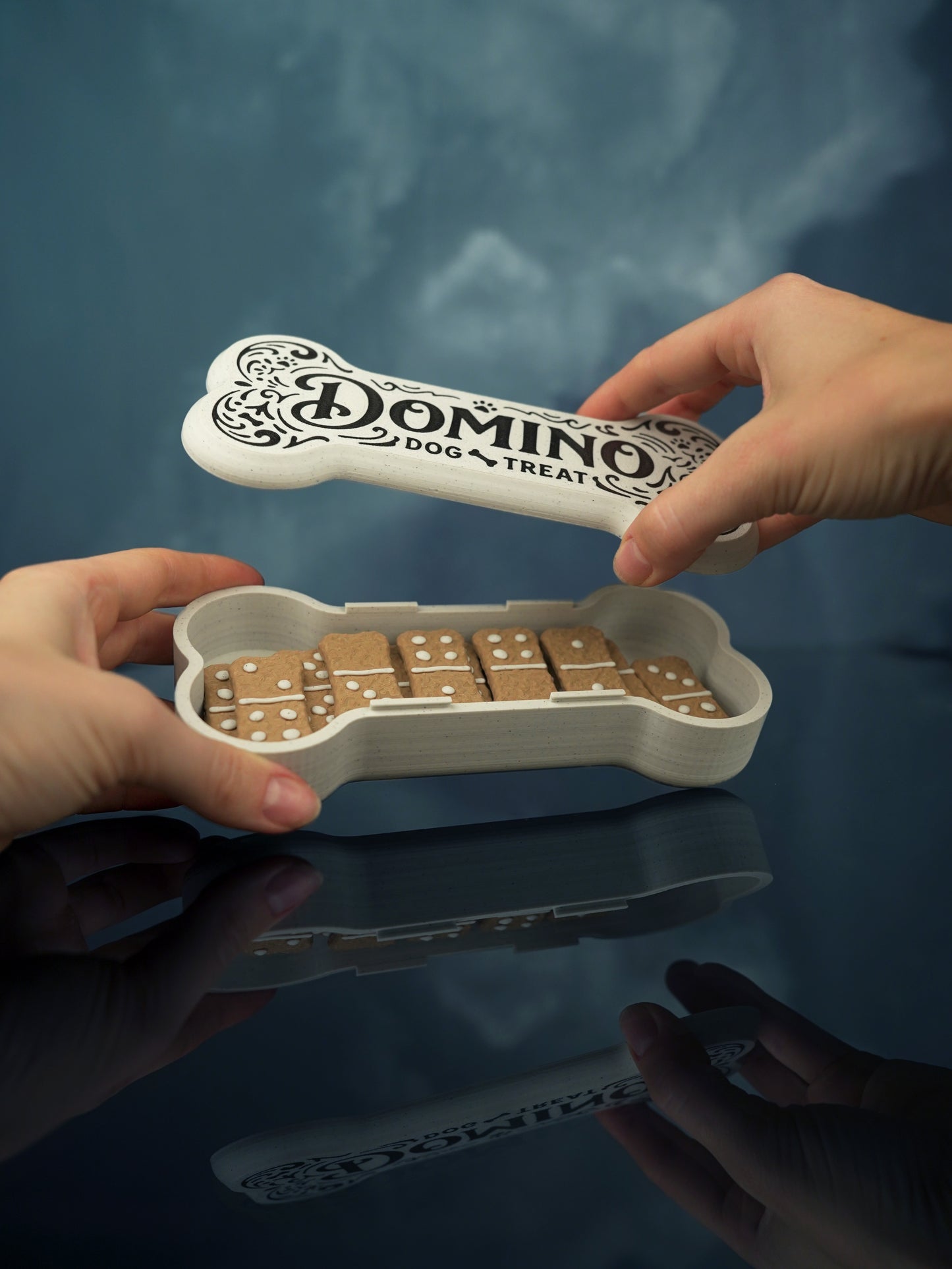 Jeu Domino Édition Friandises pour chiens – Jeu de Société Original Cadeau
