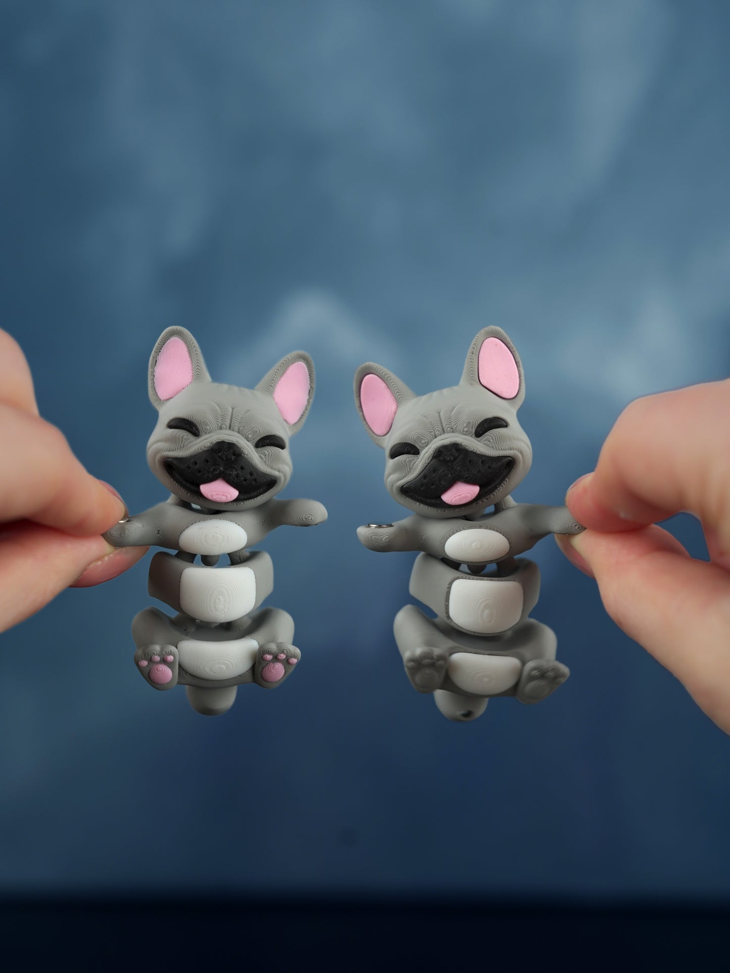 Flexi French Bulldog Keychain – Fidget Toy Gift for Dog Lovers