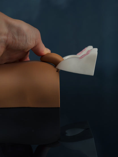 Distributeur de sacs à crottes 3D | 5 rouleaux
