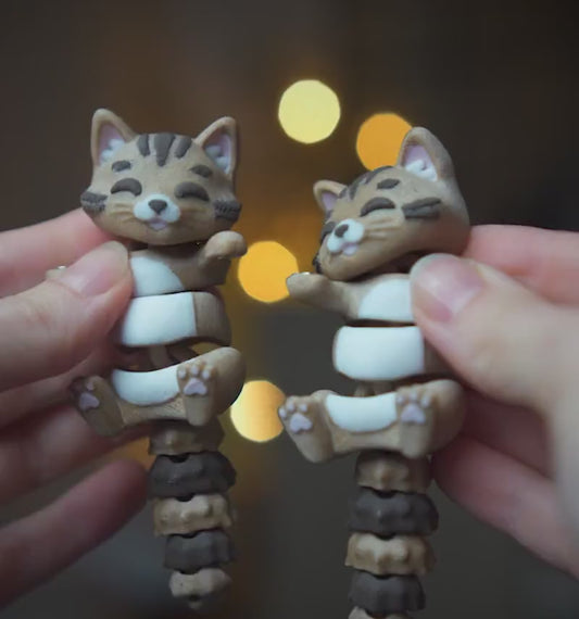 Vidéo : Porte-Clés Chat Flexi Articulé, création imprimée en 3D Jagou Design