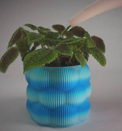 Bubble Flower Pot – Original Design Indoor Plant Decor