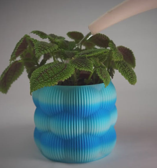 Vidéo : Pot de Fleurs Bubble, création imprimée en 3D Jagou Design