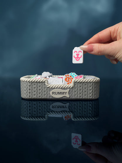 PawRummy Rummy Game – Board Game Gift for Cat Lovers